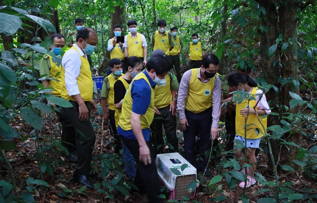 Trung tâm cứu hộ, bảo tồn và phát triển sinh vật (Vườn Quốc Gia Cúc Phương): cứu hộ, bảo tồn và phát triển các loài động vật hoang dã quý hiếm