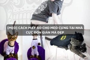 5Bmeo5D may ao cho meo cung cuc de ma lai dep tai nha 25kqnb