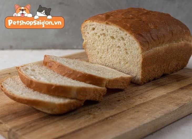 Bánh mì có tác dụng gì đối với mèo?