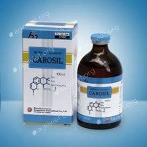 Bổ sung vitamin khoáng chất cho mèo nhờ thuốc Carosil