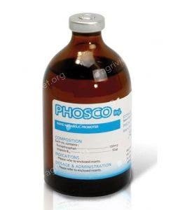 Phosco Inj thuốc giúp tăng sức đề kháng ở mèo hiệu quả