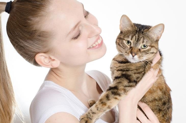 Những điều bạn có thể không biết về dị ứng mèo
