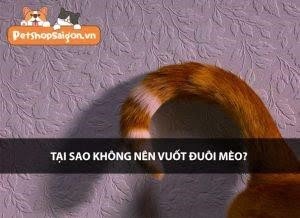 tai sao khong vuot duoi meo3F dogzbm