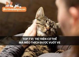 top 7 vi tri tren co the meo thich duoc vuot ve d3kvuk