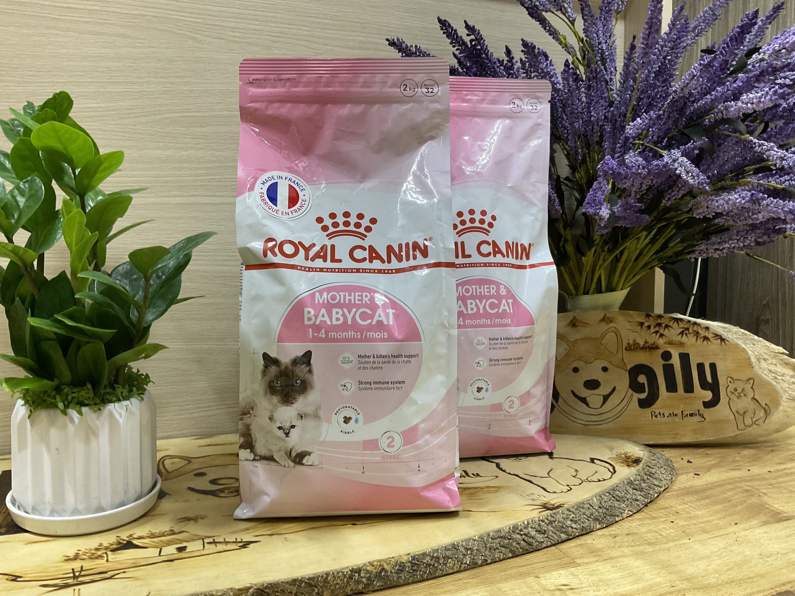 Sản phẩm thức ăn hạt Royal Canin Mother & Babycat sản phẩm cao cấp của Pháp dành cho mèo con từ 2 đến 4 tháng tuổi