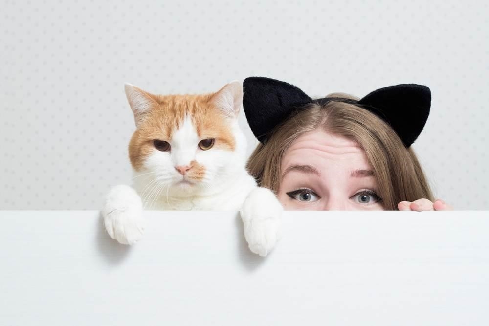 Bạn sẽ phải làm gì khi mèo cưng của bạn đến thời điểm động dục? – Đó là câu hỏi mà Meo Pet Shop muốn trả lời.