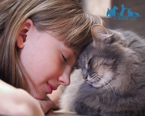 meo co ghi nho chu cua minh khong3F lam the nao de nhan biet khi meo yeu va cuc ky qcc7py