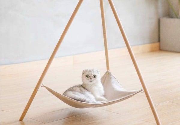 Hãy để mèo nghỉ ngơi trên chiếc võng thật thoải mái.