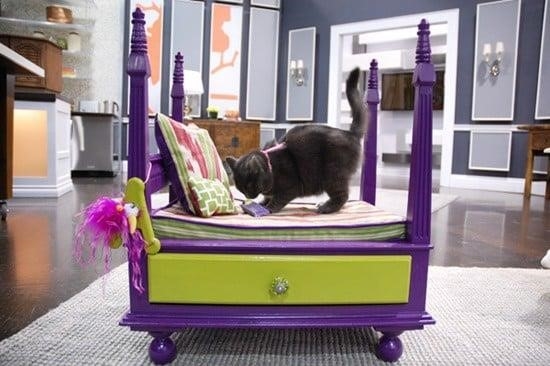 Sử dụng các bàn ghế cũ để tạo nên một chỗ nghỉ ngơi ấm áp cho thú cưng của bạn là ý tưởng tuyệt vời.