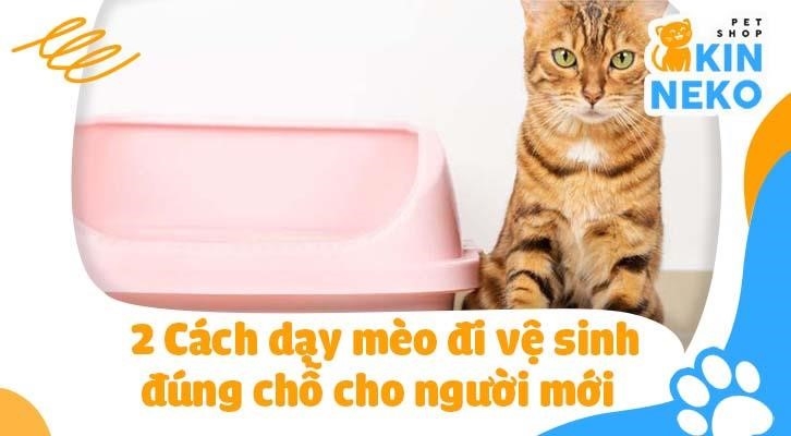 neu ban moi nuoi meo va muon huong dan chung di ve sinh dung cho2C dung lo lang21 chung ta