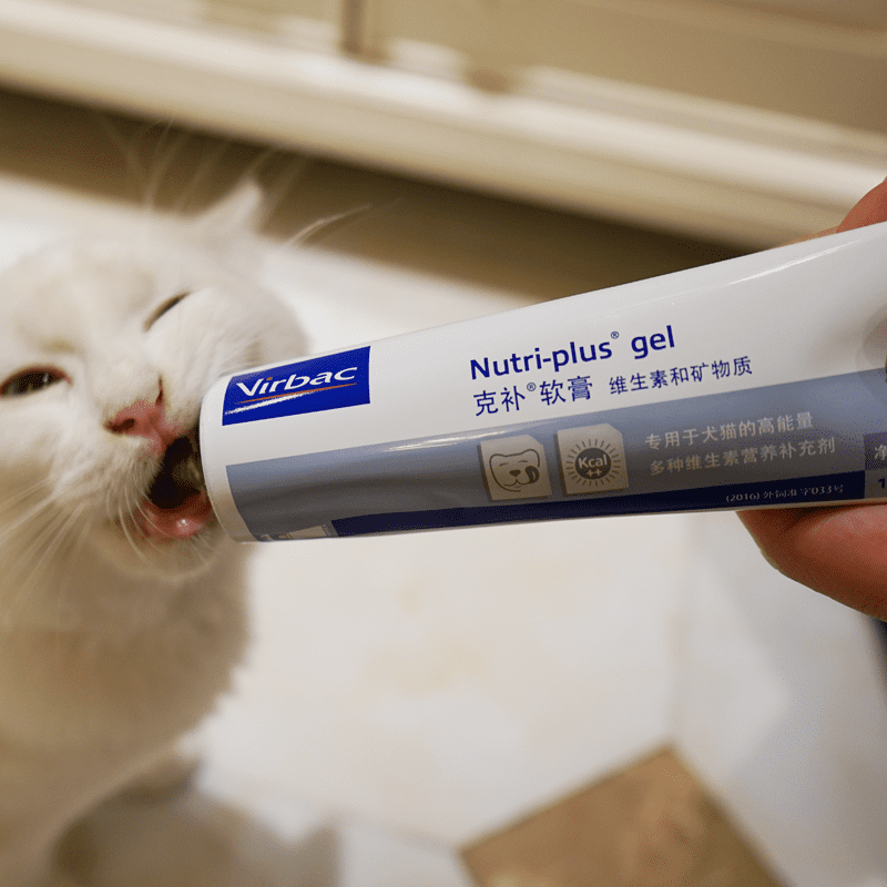 Hướng dẫn sử dụng gel bổ sung dinh dưỡng cho mèo
