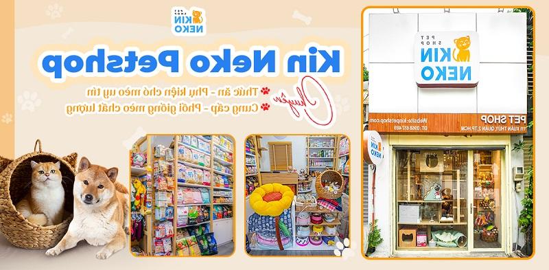 Kin Neko Petshop - Cung cấp vật dụng chất lượng hỗ trợ bạn áp dụng những cách tập cho mèo đi vệ sinh đúng chỗ