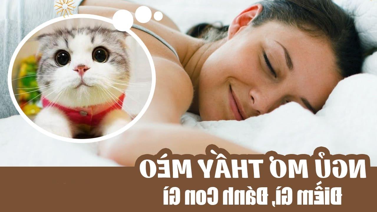 Con mèo số mấy? Nằm mơ thấy mèo đánh số mấy?