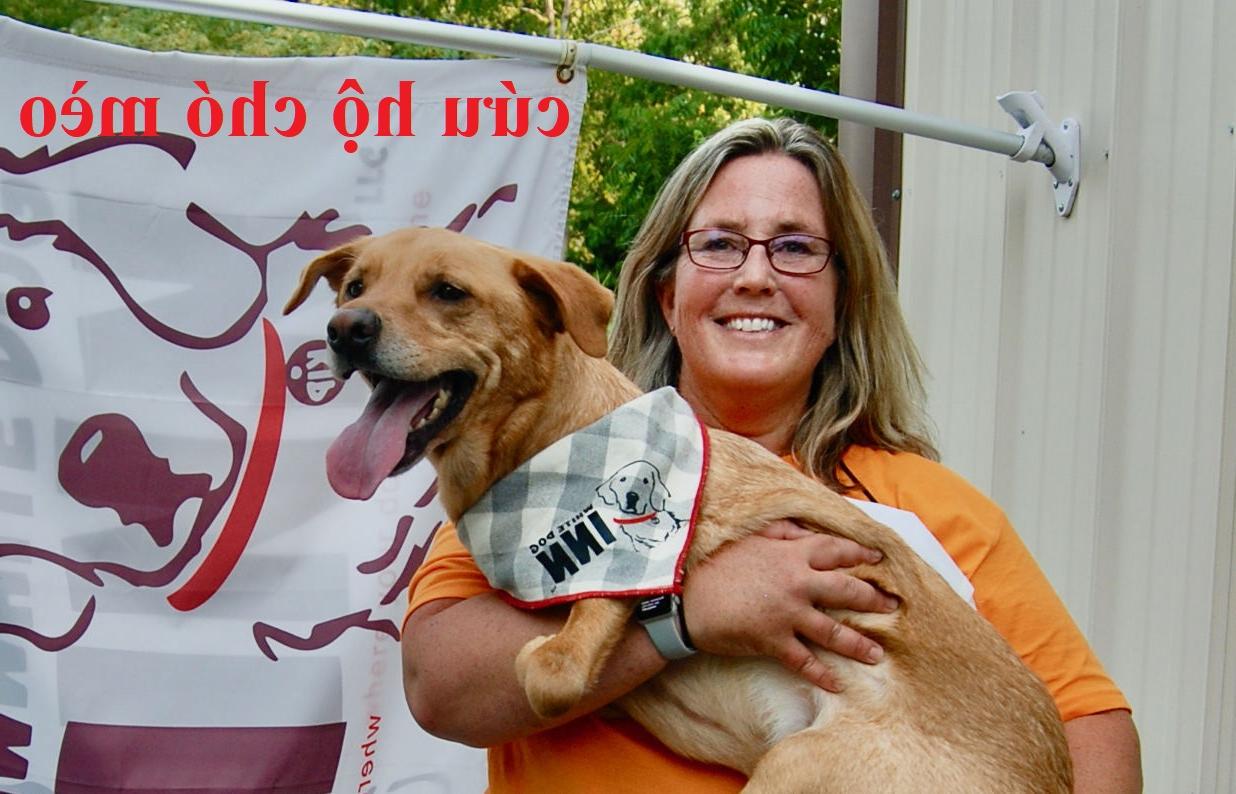 8 địa chỉ cứu hộ chó mèo Đà Nẵng uy tín bạn phải biết khi nuôi thú cưng