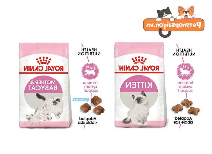 Các loại hạt Royal Canin cho mèo được mua nhiều nhất hiện nay