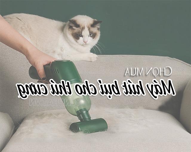 Kinh nghiệm mua máy hút bụi cho thú cưng siêu tiết kiệm