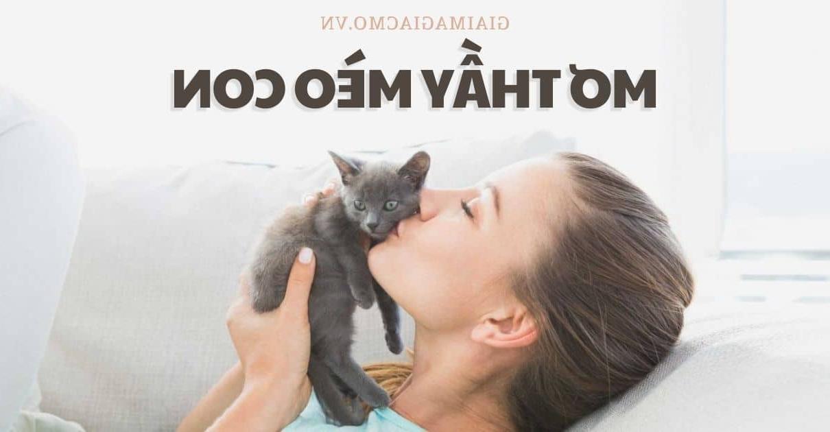 Mơ Thấy Mèo Đẻ Điềm Gì, Đánh Con Gì ❤️️Giải Mã Giấc Mơ