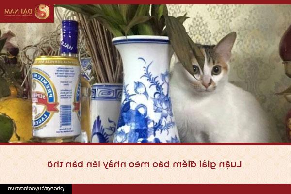 Luận giải điềm báo mèo nhảy lên bàn thờ