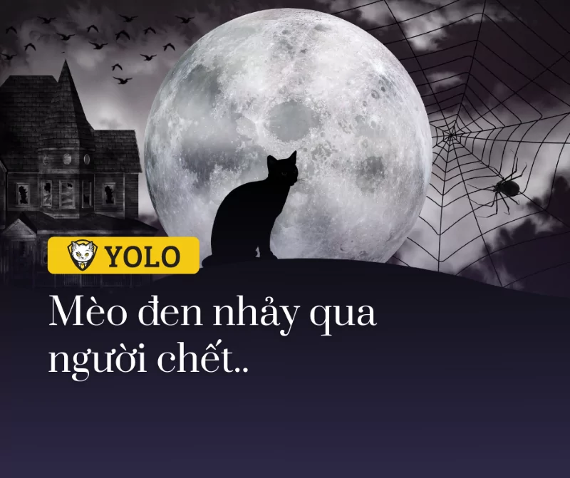 Mèo đen nhảy qua người chết tạo ra hiện tượng quỷ nhập tràng? – Giải thích theo dân gian & khoa học!