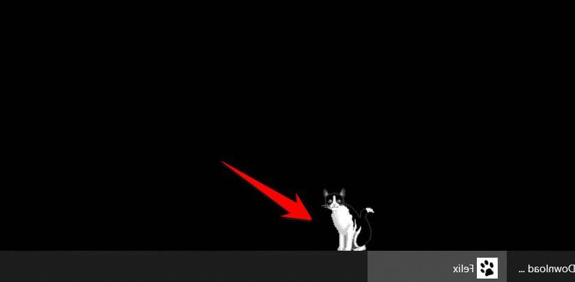 Khi chú mèo pet ảo sẽ xuất hiện trên màn hình. Bạn có thể kéo mèo đi khắp mọi nơi trên desktop.