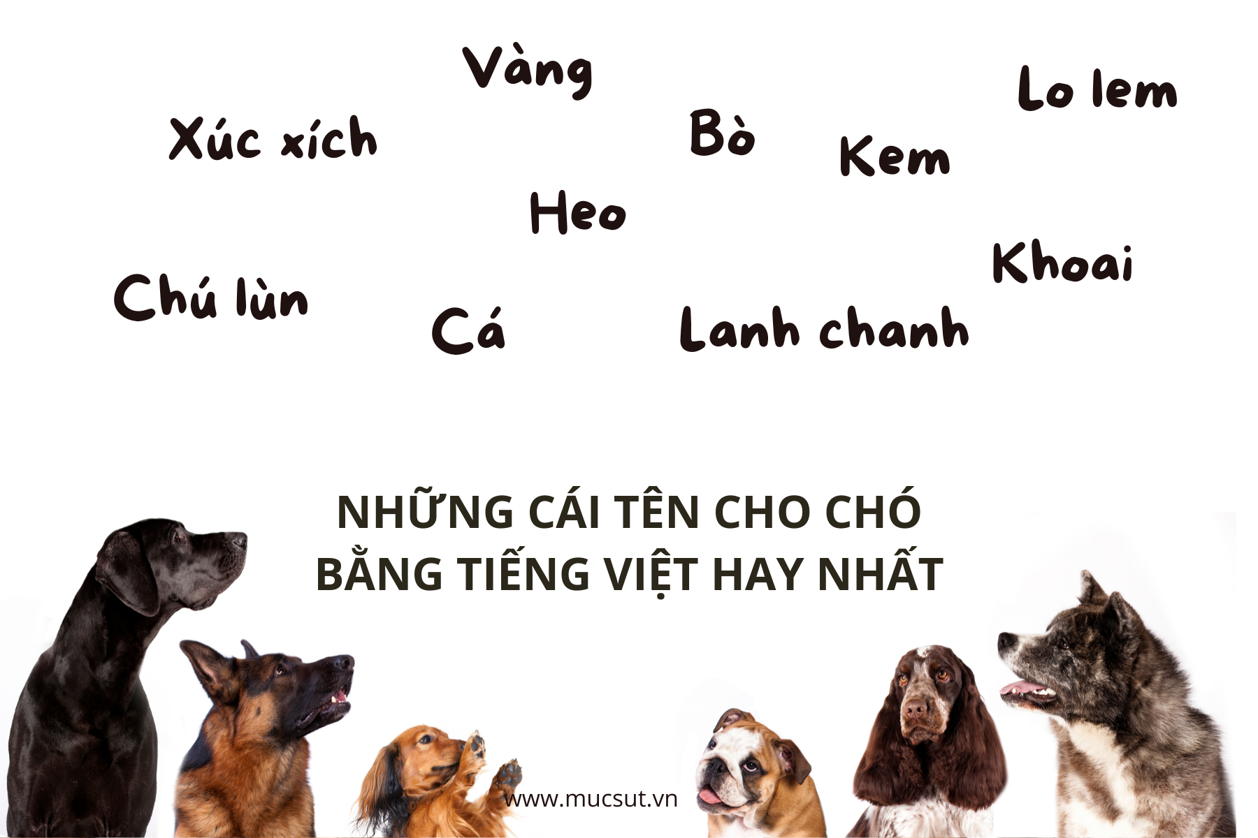 Đặt tên cho chó và mèo bằng tiếng Việt