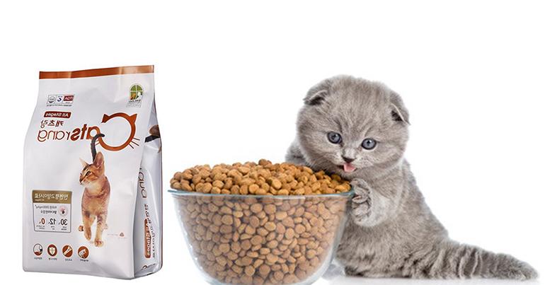 Thức ăn khô cho mèo con cũng được nhiều người lựa chọn