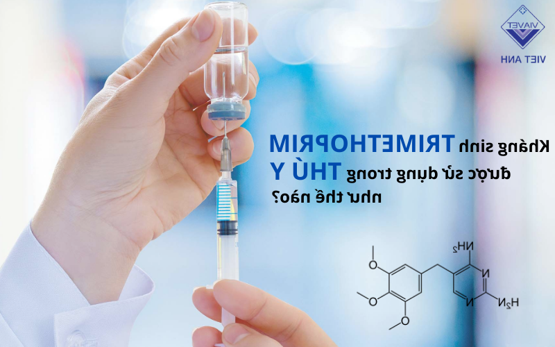 Nguyên tắc khi sử dụng kháng sinh thú y nhất định phải biết