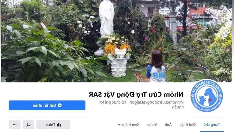 Danh Sách Những Nơi Nhận Nuôi Chó Mèo Lang Thang Tại TpHCM Tận Tâm Và Uy Tín